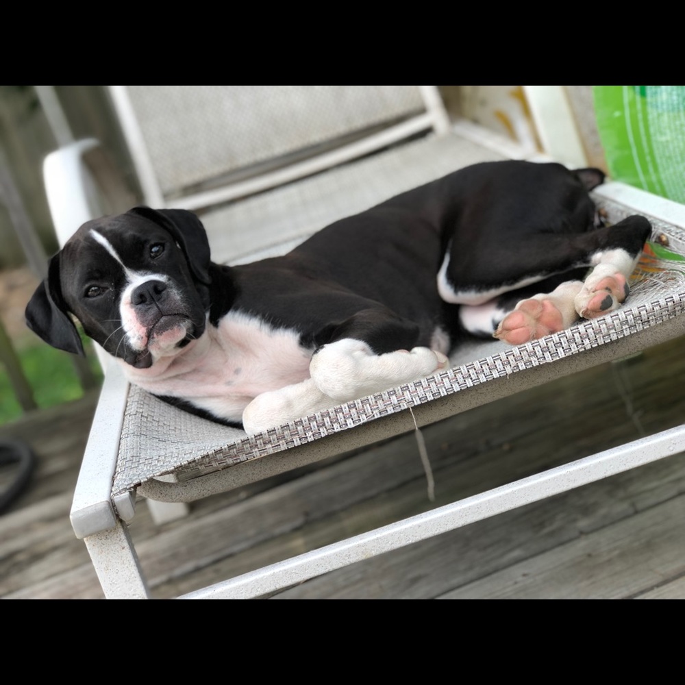 Meet your Posher, Rachel